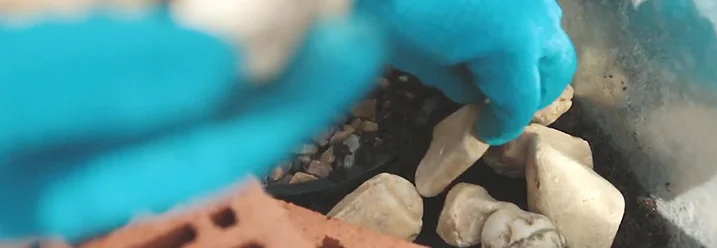 Hand in blauem Handschuh platziert Steine in einem Terrarium